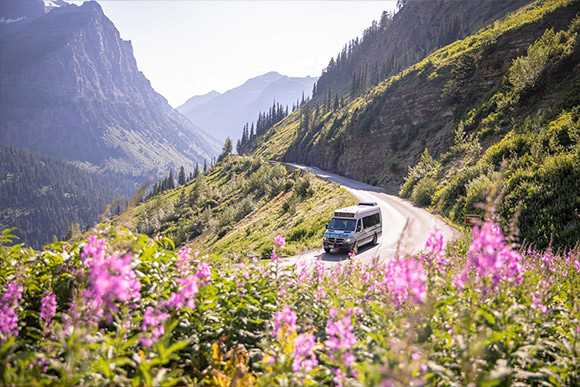 A shuttle on the Going-to-the-Sun Road with fireweed in the foreground and mountains in the background.