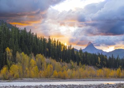 Yellow trees along a river with mountains and a sunrise in the background.