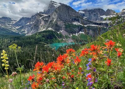 Red wildflowers blooming with an alpine lake and mountains in the background.