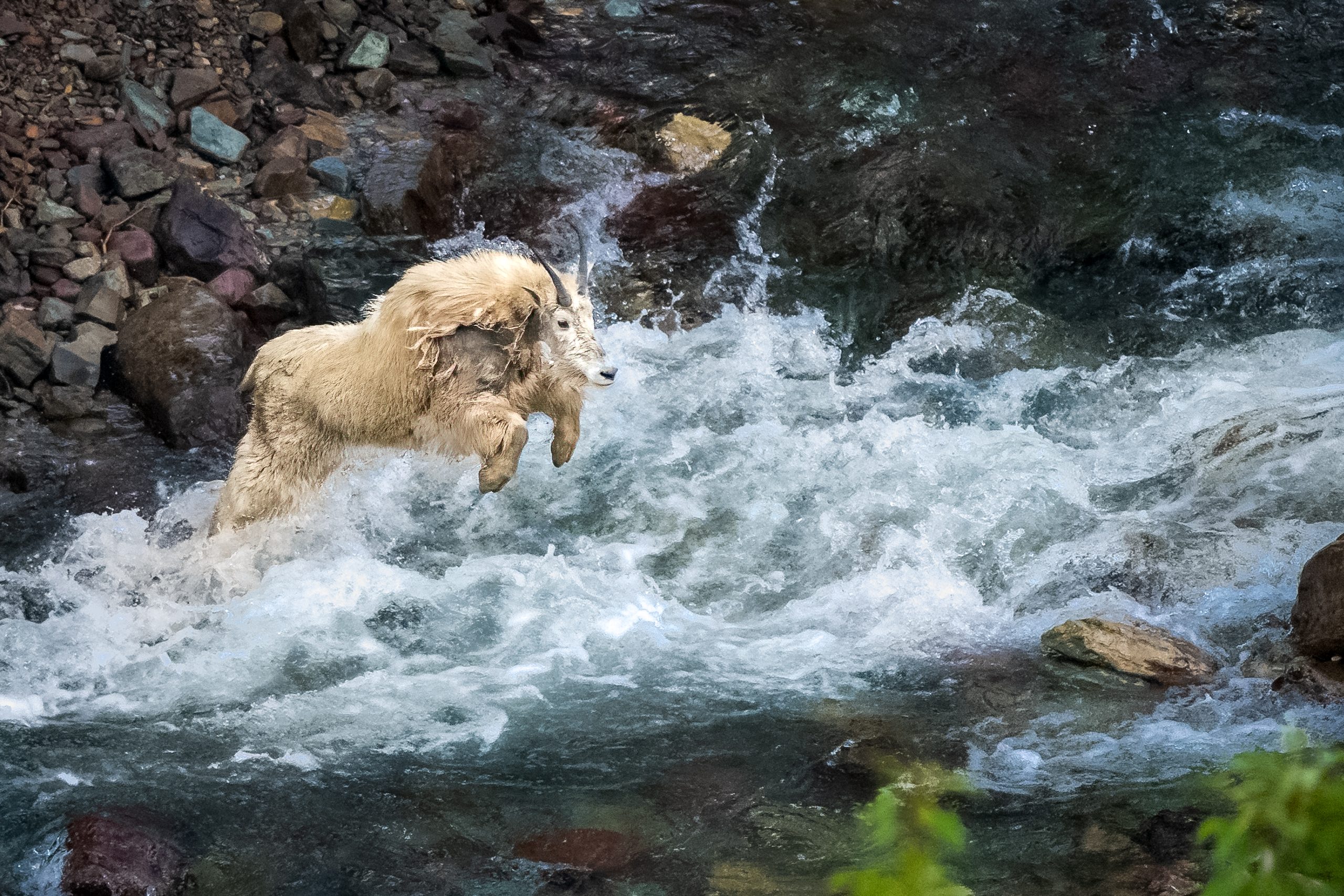 Glacier Plunge<br />
