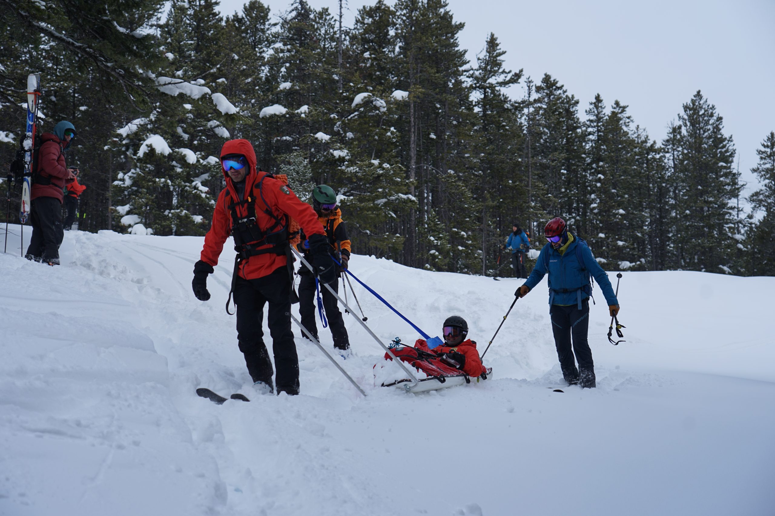 Park Staff and volunteers pull a toboggan.