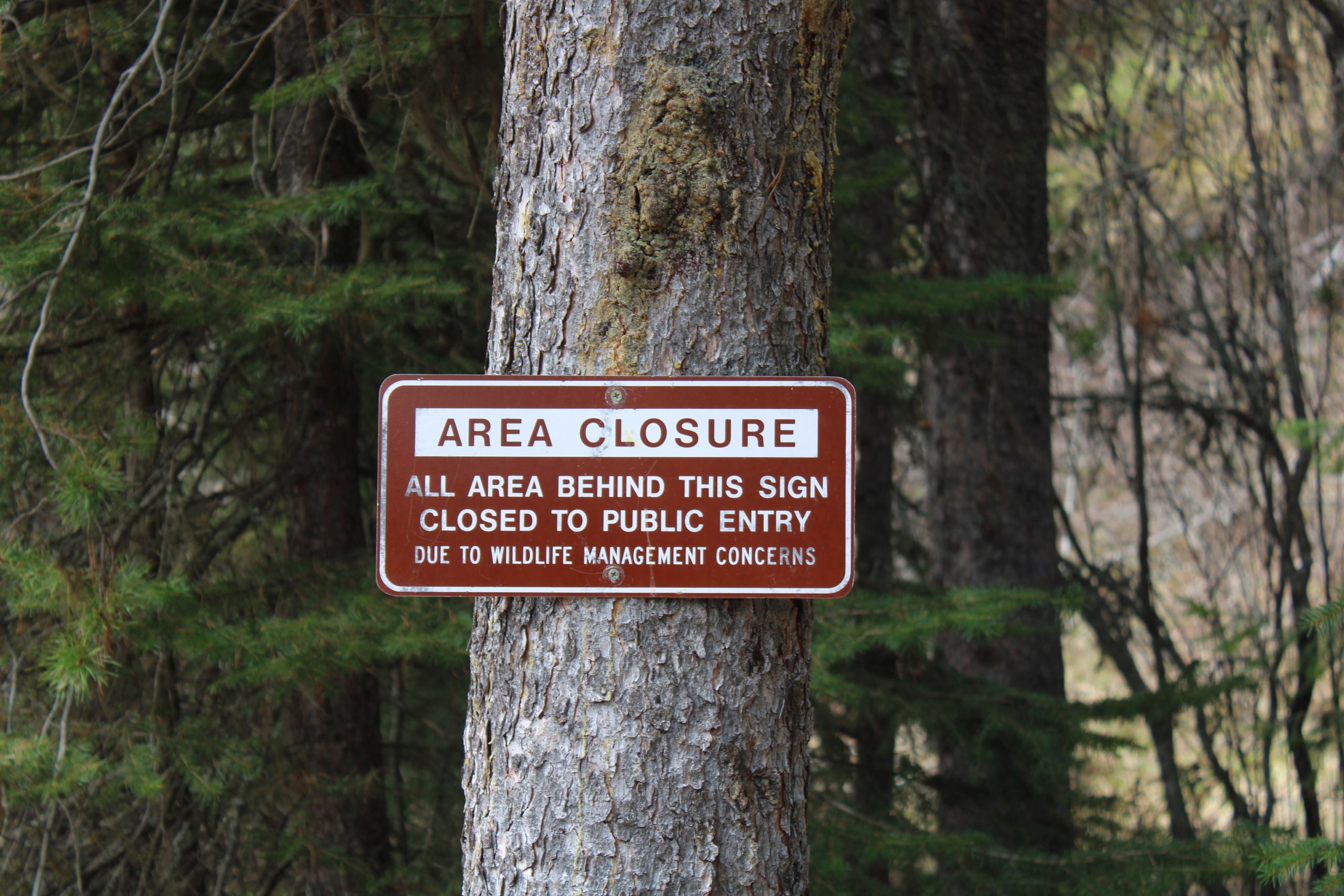 Wildlife management closure sign.