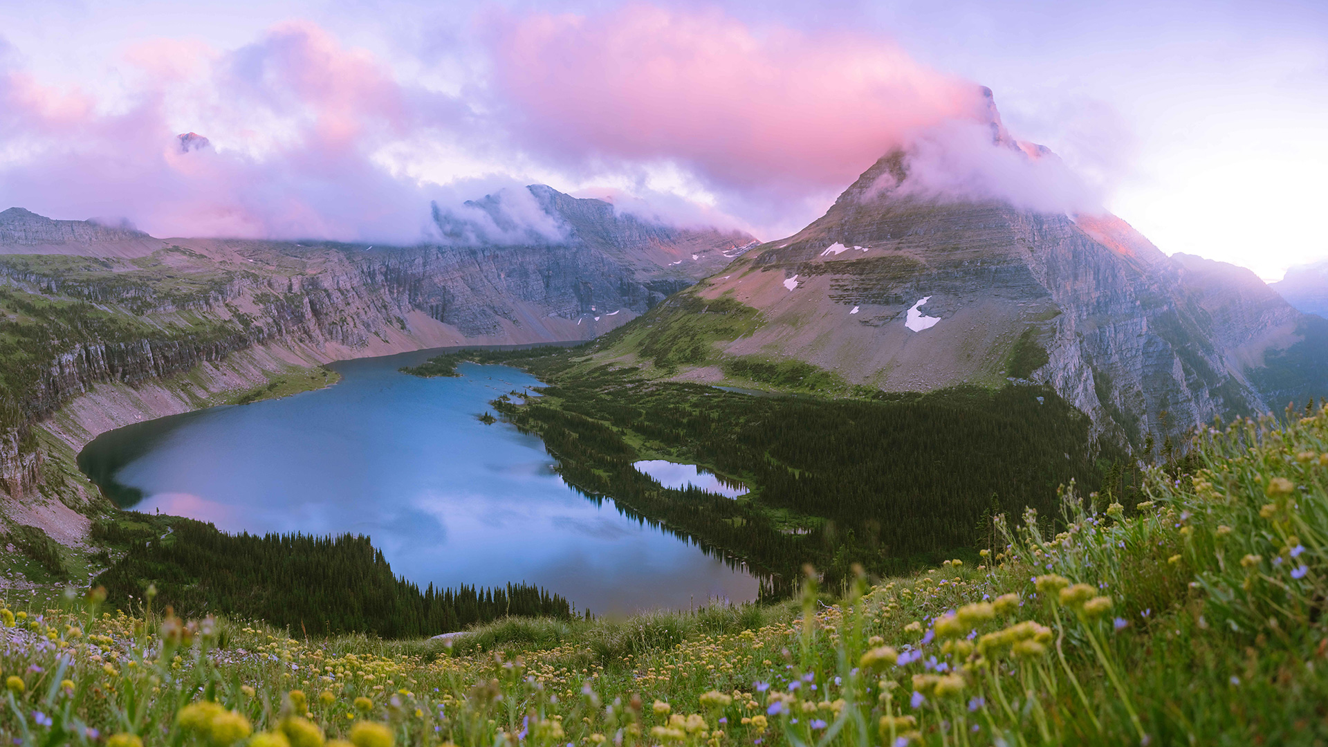 Yellow wildflowers with an lake and mountains in the background.