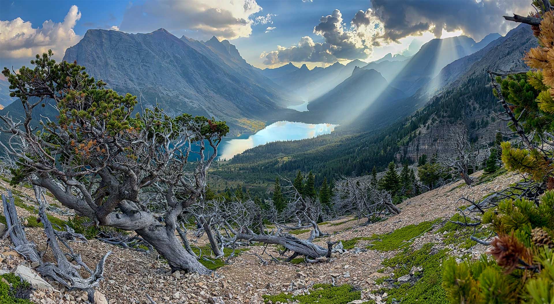 Sun rays shining through a cloud onto a lake surrounded by mountains and a whitebark pine forest.