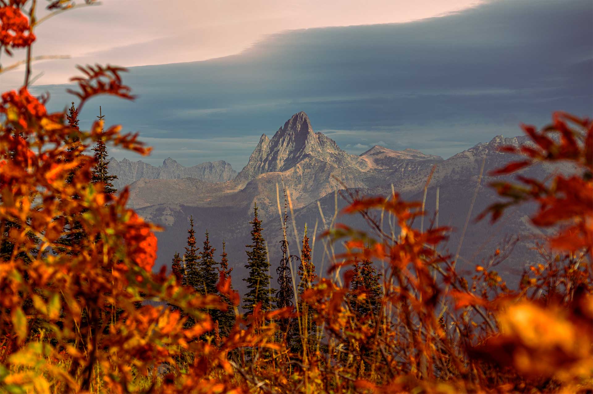 Bright red leaves frame a pointy mountain peak with dark clouds behind it.