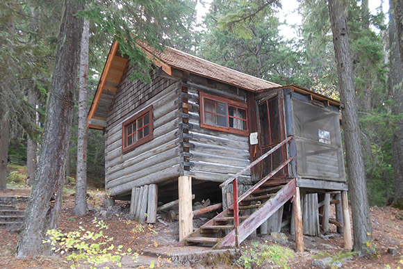 An old log cabin in a forest.
